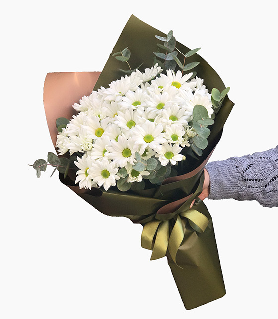 Siyah Kağıtta Papatya Buketi