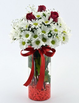 Papatya Gül Arajmanı